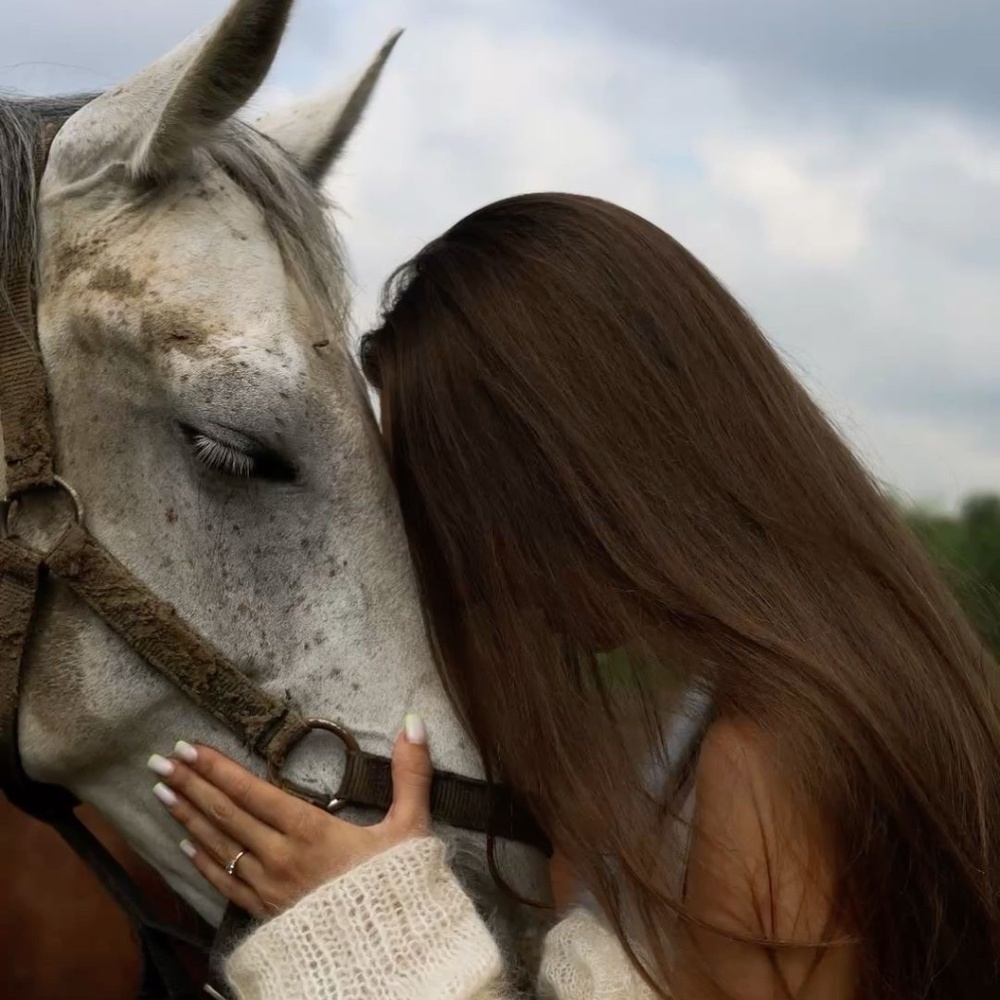 Meet your Posher, Lux